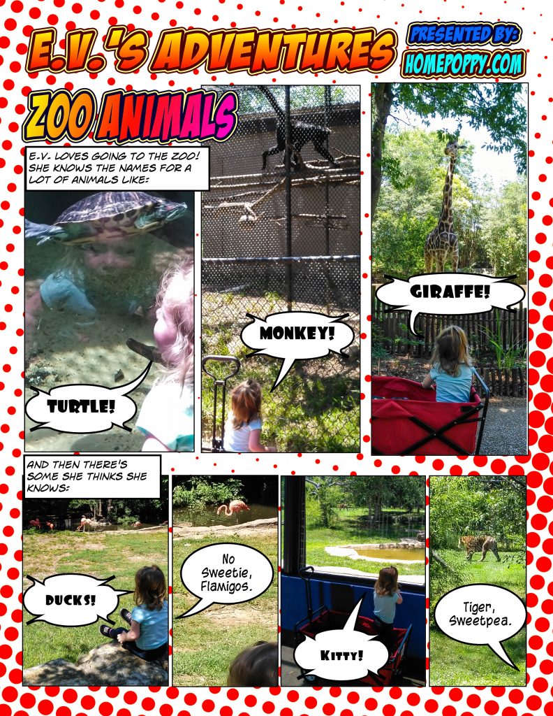 Zoo Animals Page_1